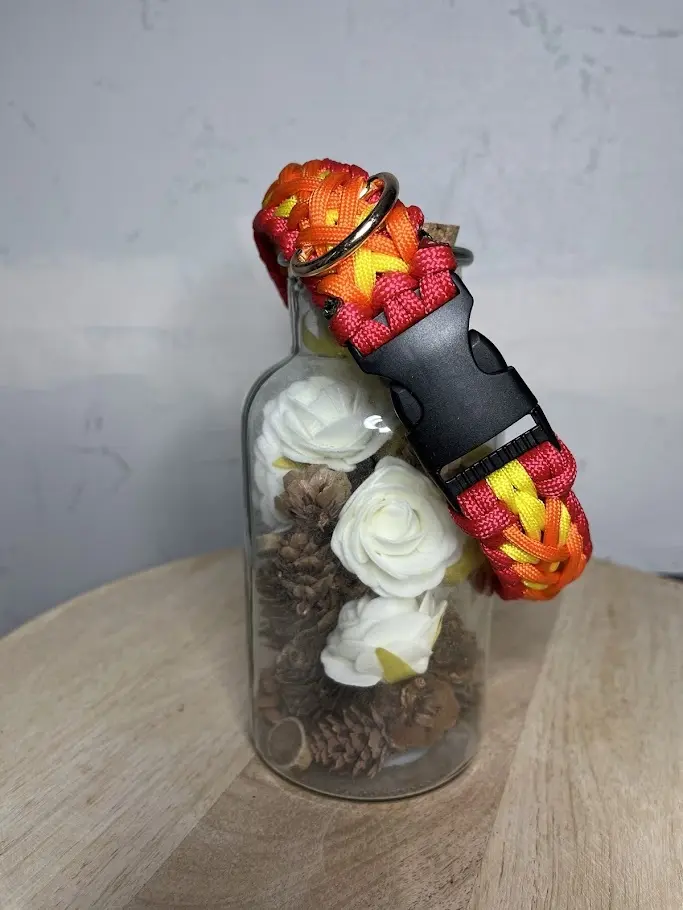BB8 4.webp