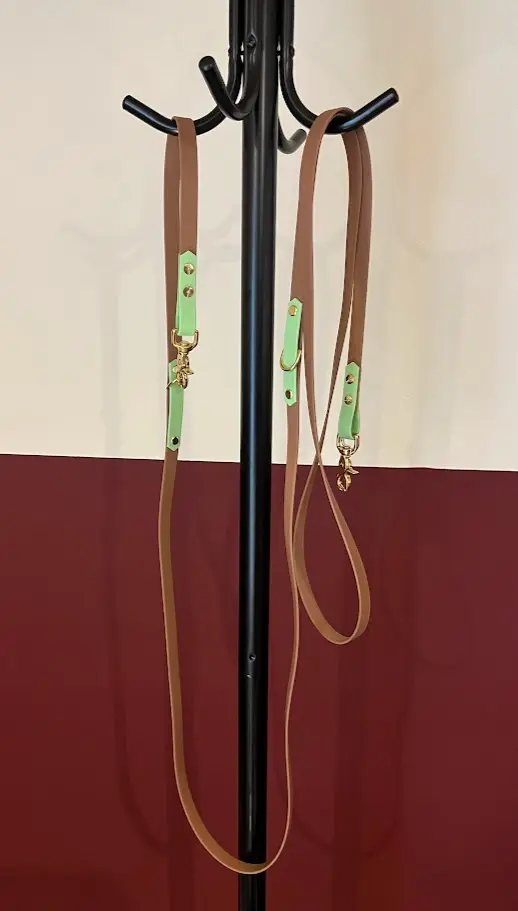Laisse multiposition en Biothane – Personnalisable (2 mètres, Marron, Gris, argent, Classique)