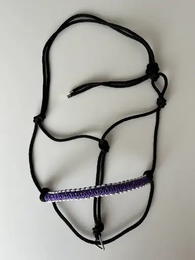 Licol éthologique