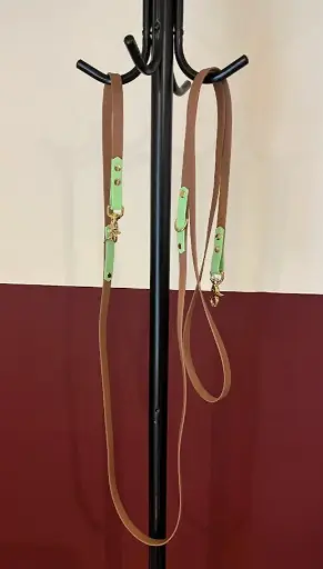 Laisse multiposition en Biothane – Personnalisable