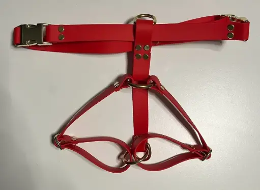 Harnais biothane - personnalisé